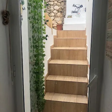 Leo&manu